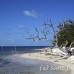 beach_jar_h_0720_cub2884.jpg